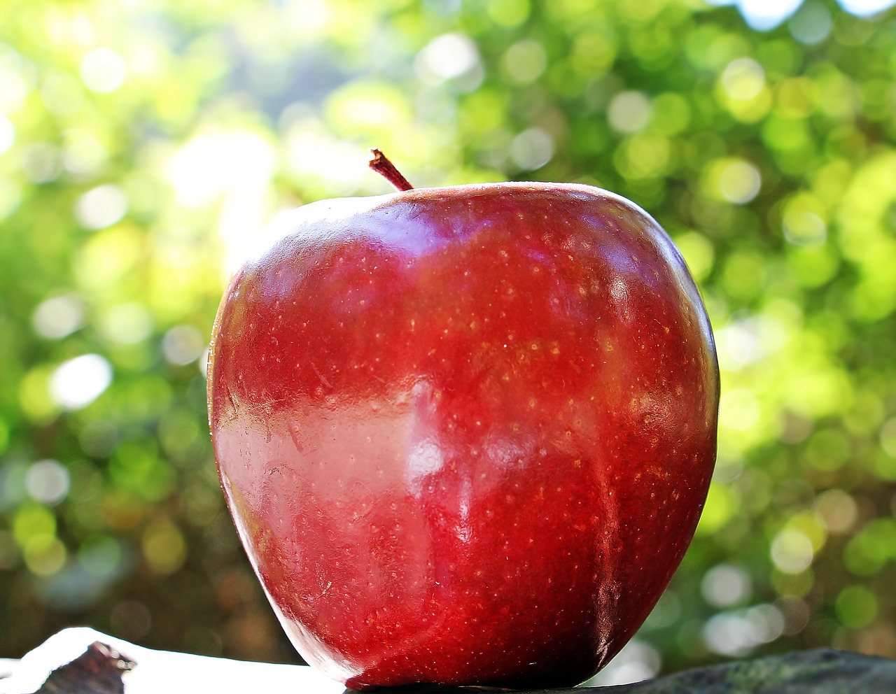 Apple names new chief executive to replace Tim Cook