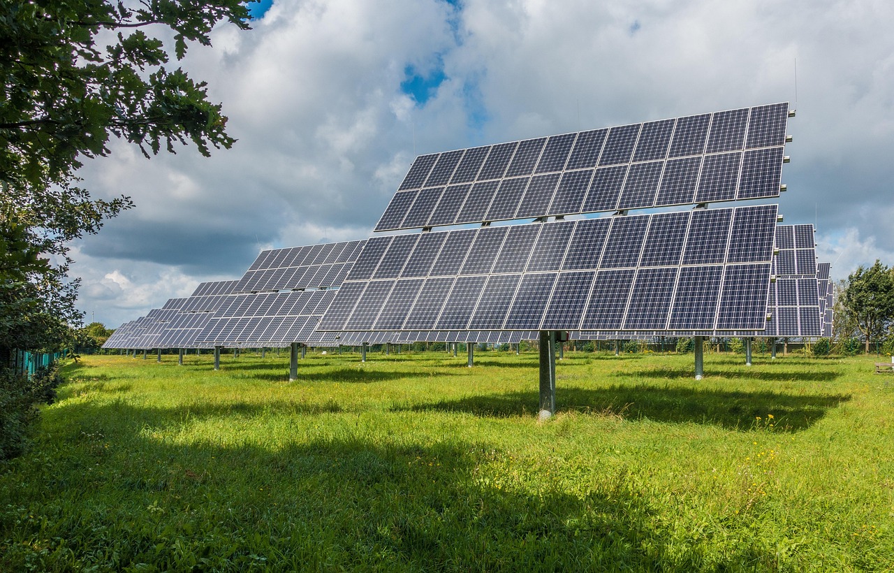 Grid Unbound: Local Power Networks Rewriting Energy's Future