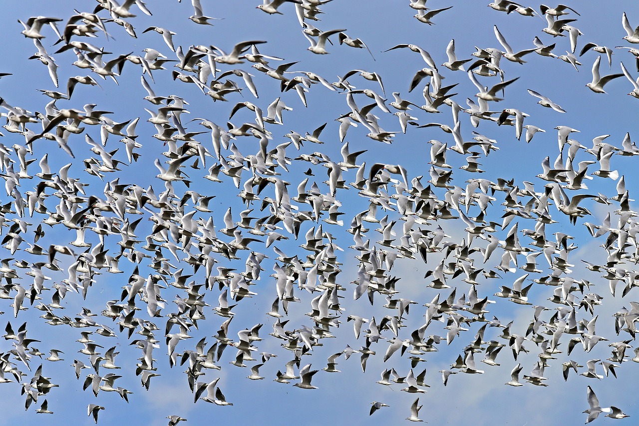 Local Logic: The Edge's New Collaborative Intelligence