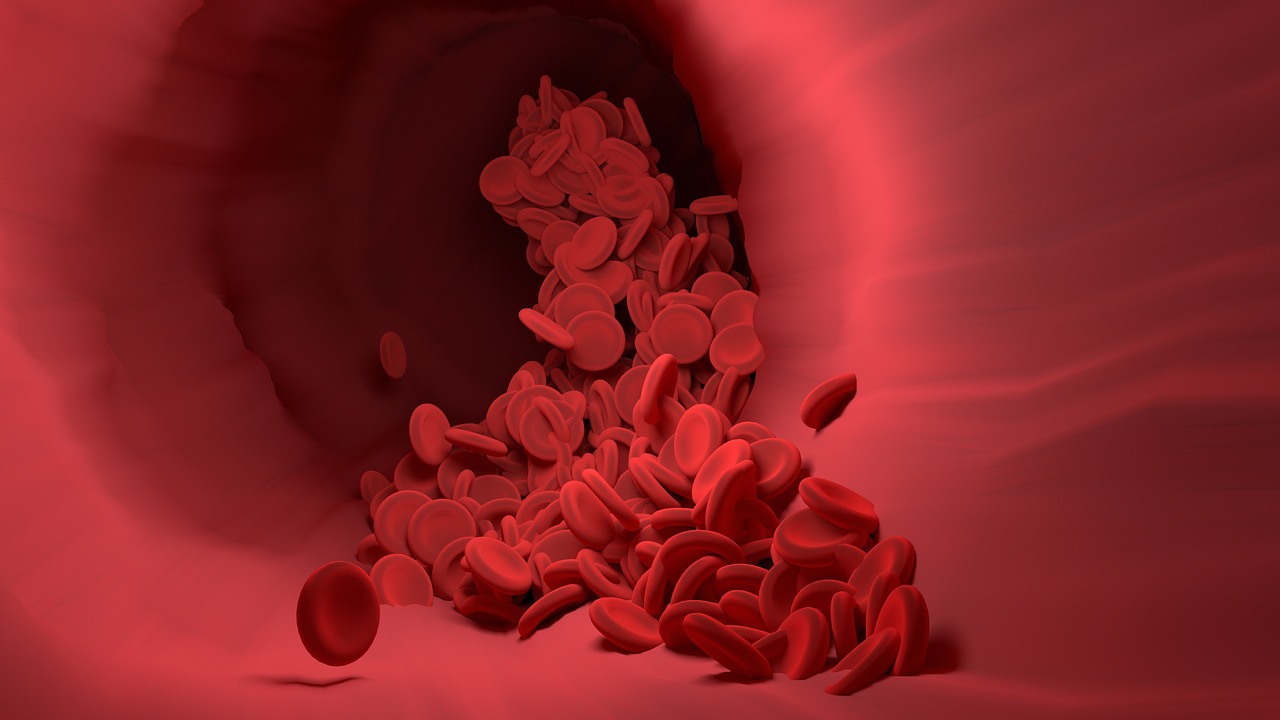Mapping the Body's Hidden Geography: How Geometry AI is Rewriting Surgery