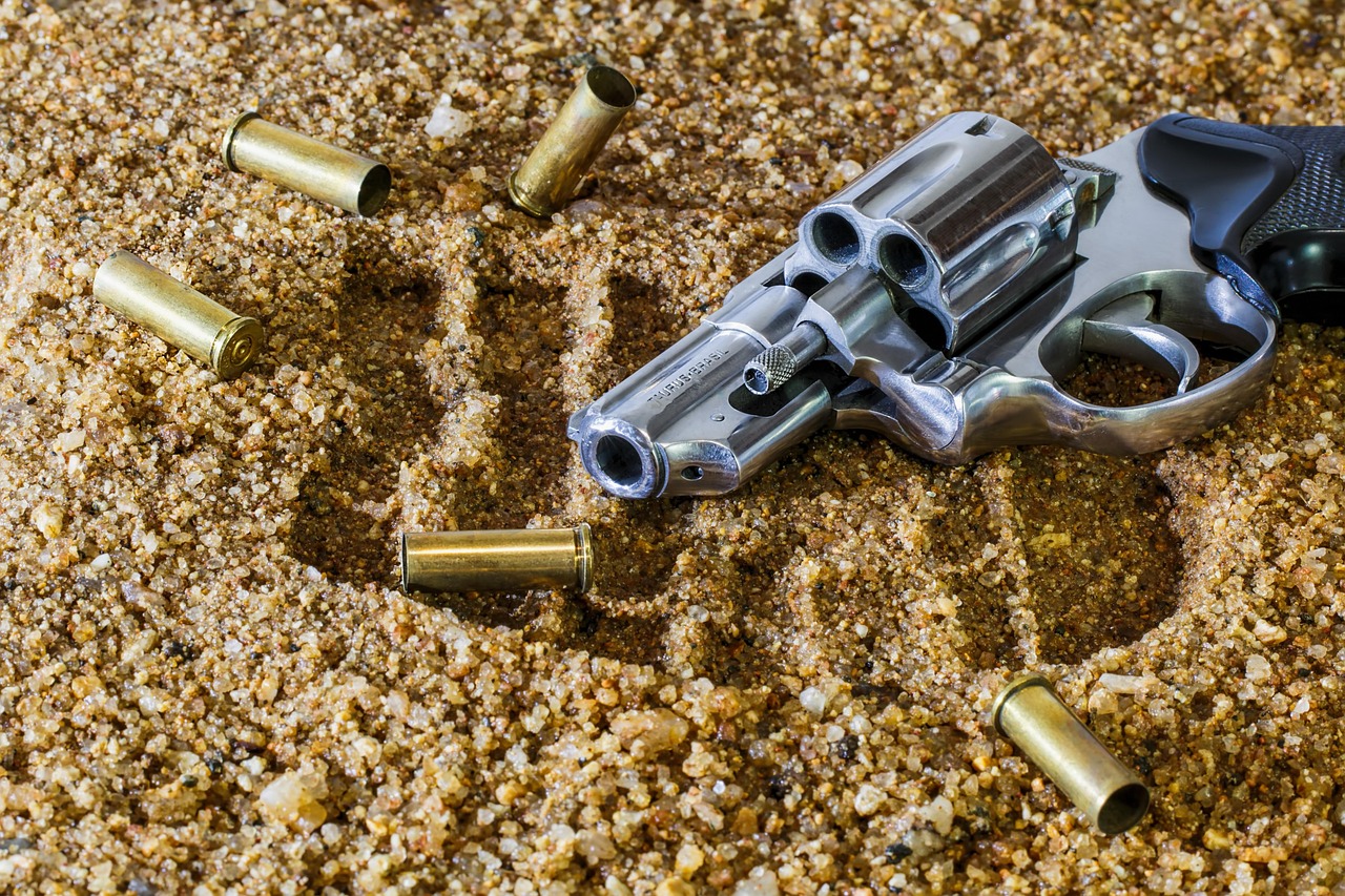 Model Under Siege: How AI Learns to Defend Itself in Real-Time