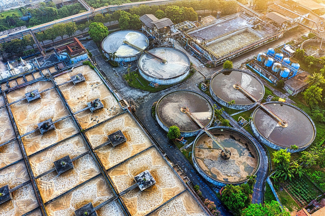 Sunlight's Tiny Scavengers: Nanoparticles Erasing Water Pollution