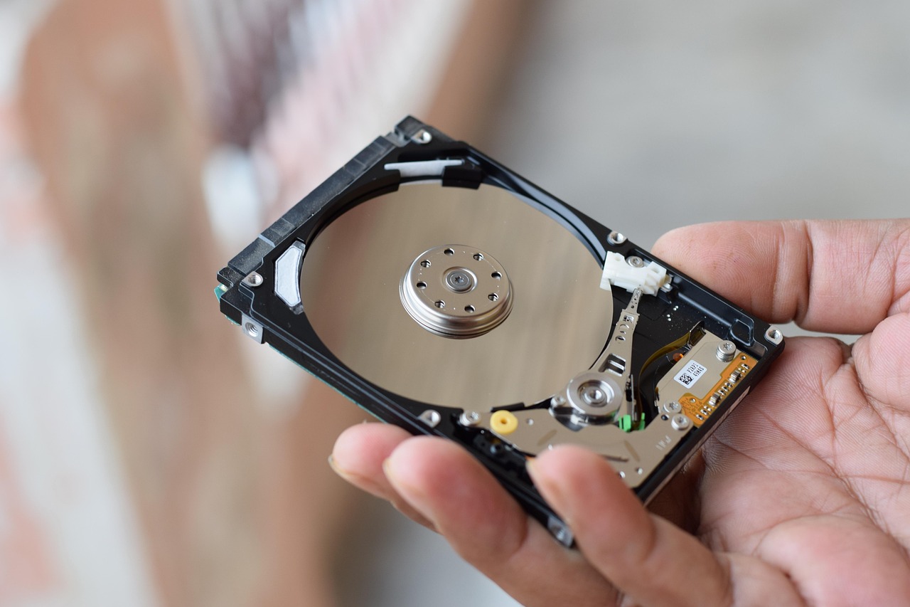 The Ultimate Archive: Your Internet, Coded in Life