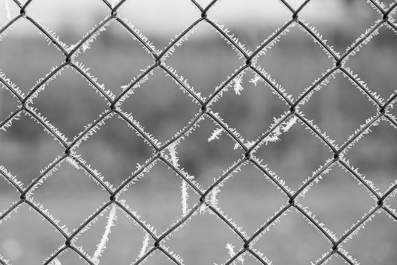 Wetware Wonders: Engineering Living Cells to Compute and Build