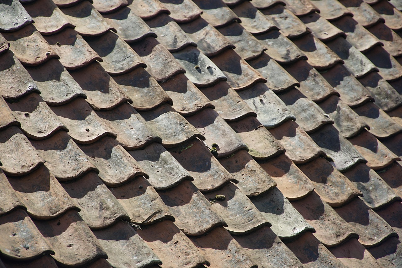 Zero-Energy Chill: Your Roof, The Ultimate Heat Ejector